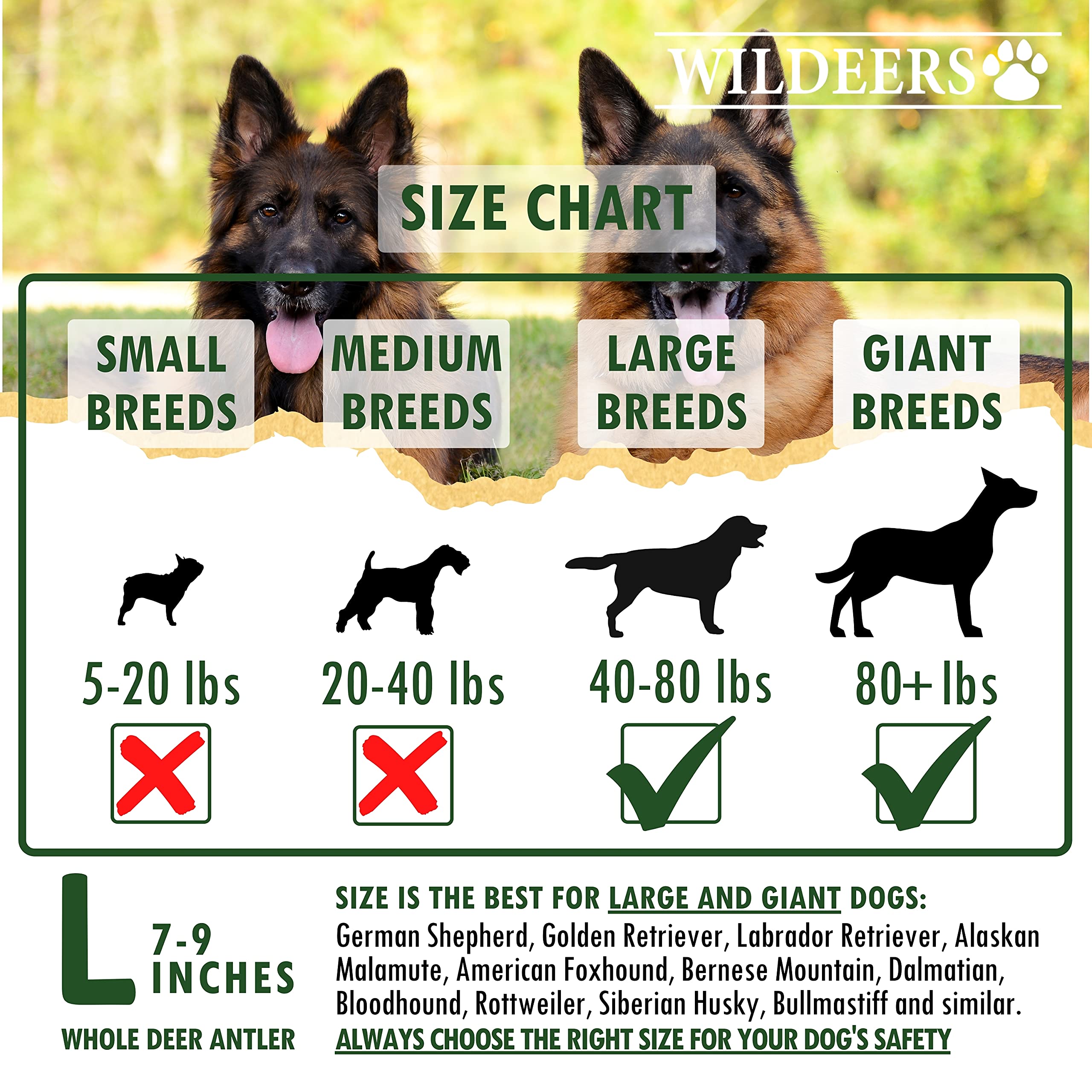 Wildeers Large Deer Antlers for Dogs - Premium Dog Antler Chews - Made in USA, Naturally Shed, Healthy Treat - Grade A, 7-9 in,